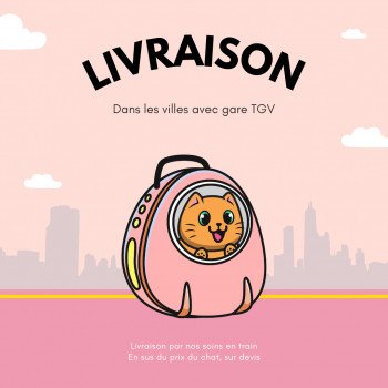 Livraison de nos chatons