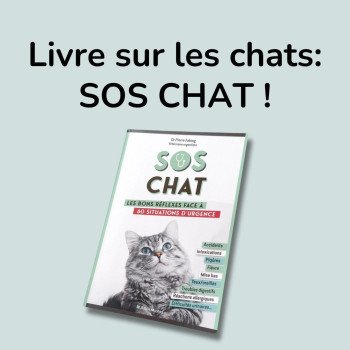 Livre sur les chats : SOS Chat, un essentiel