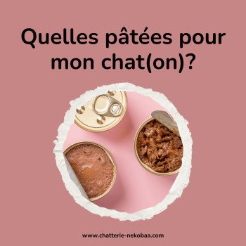 Marques de pâtée pour chats British