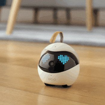 Ebo, robot pour chat (compagnon de jeu connecté)
