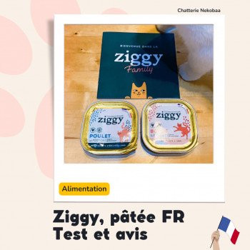 Test de la pâtée pour chats Ziggy, made in France ??