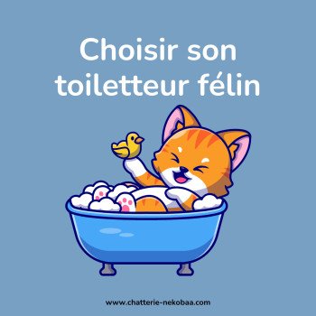 Pourquoi faire appel à un toiletteur pour son chat, et comment bien le choisir ?