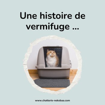 Nouveau protocole de vermifugation des chats