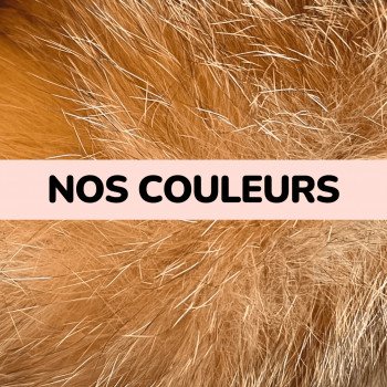 British Golden, Copper & Silver, des couleurs rares