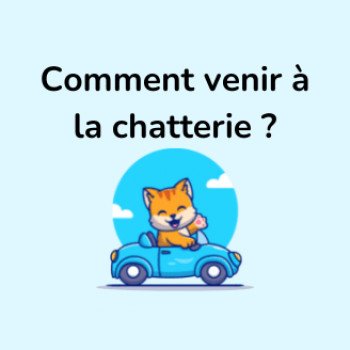 Se rendre à la chatterie