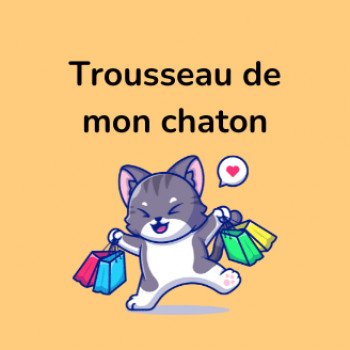 Trousseau de votre chaton